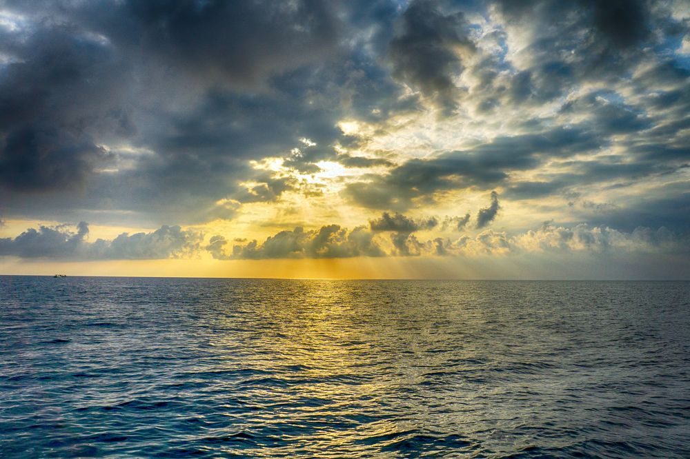 Photograph by Александр Пургин