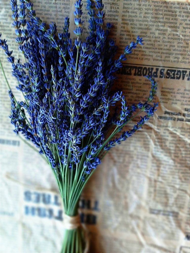 Photograph by Tatsiana Khinevich