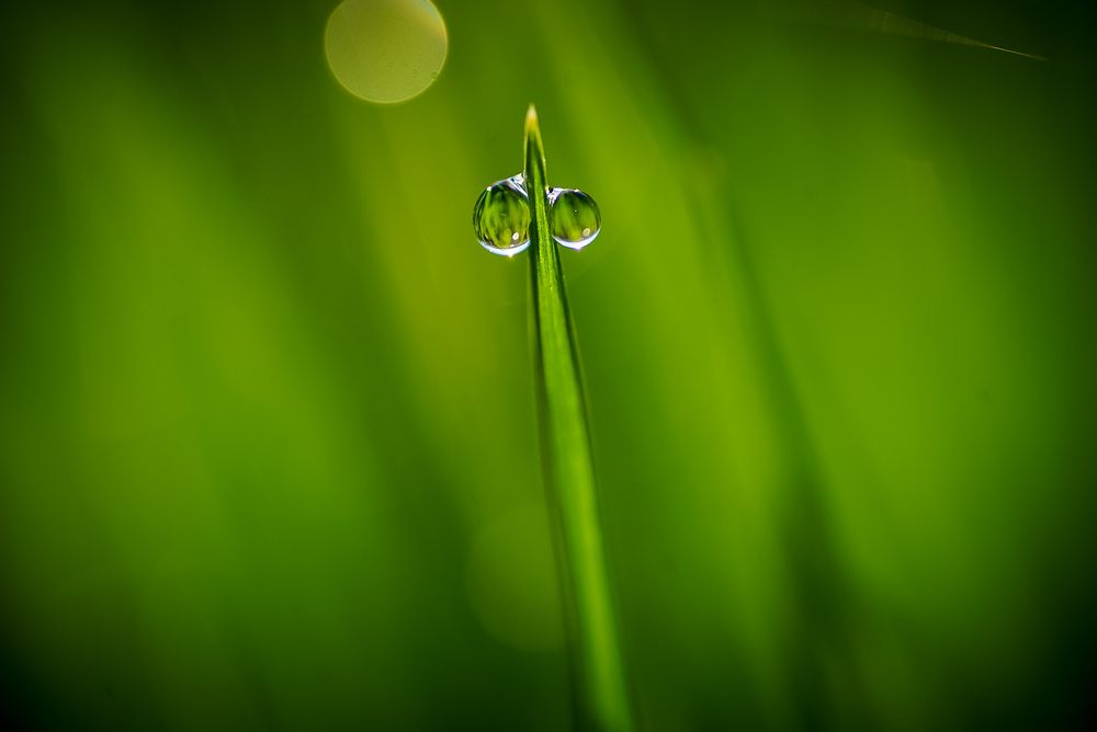 Фотография автора Алиса Чурчудесная