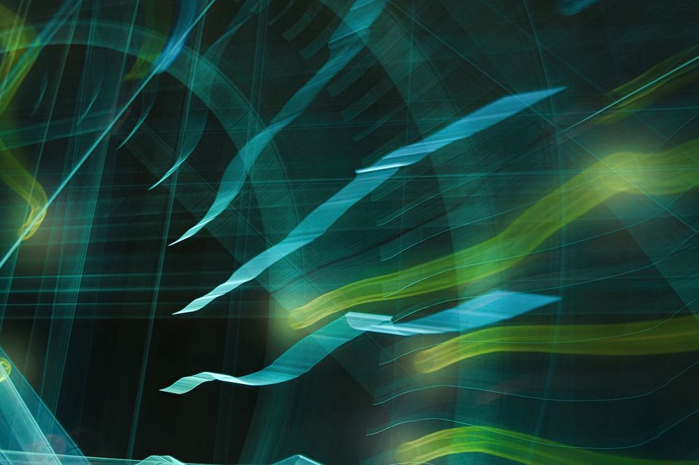 Photograph by Myles Barfield