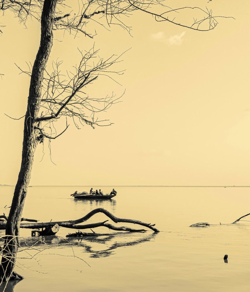 Photograph by Mohammed Abuelgasim