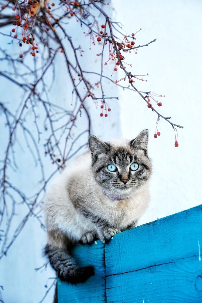 Photograph by Анастасия Дубинина