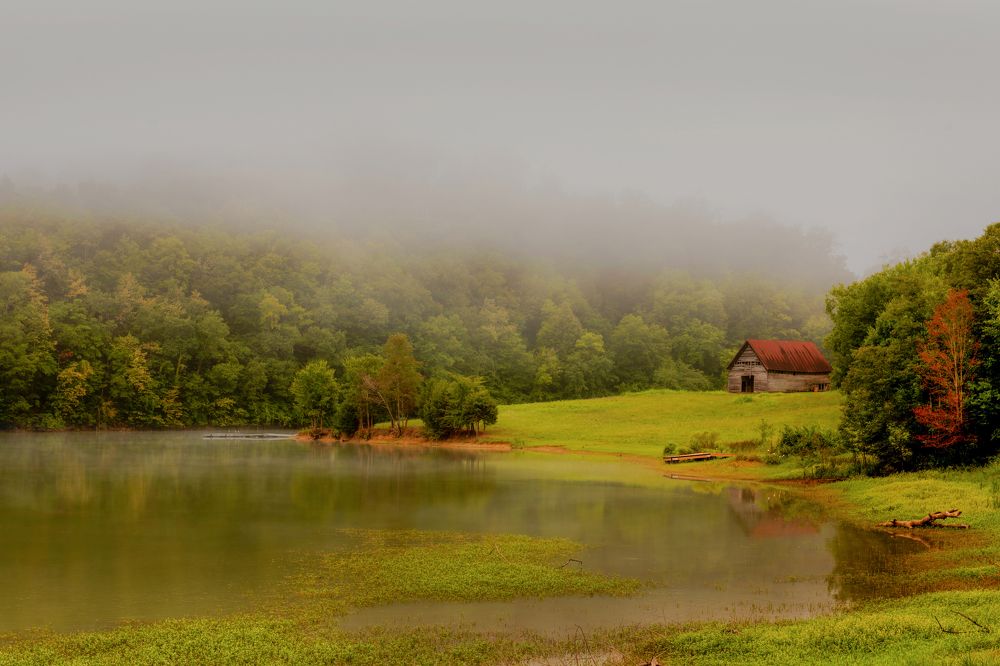 Photograph by Myles Barfield