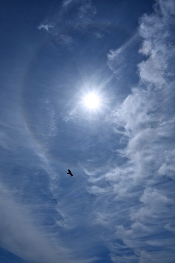 Photograph by Анастасия Дубинина