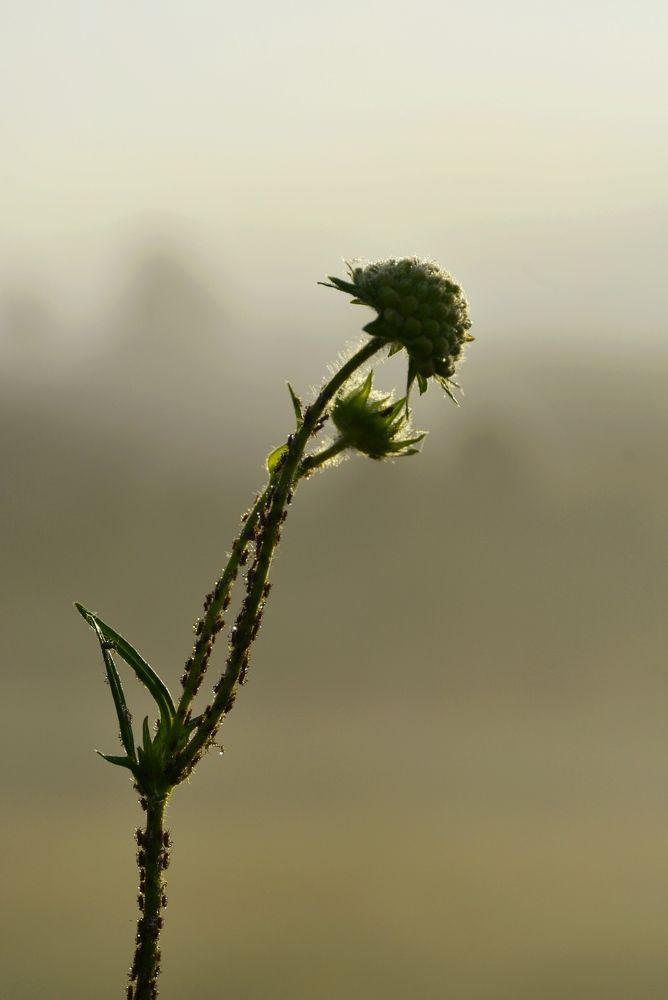 Photograph by Ольга