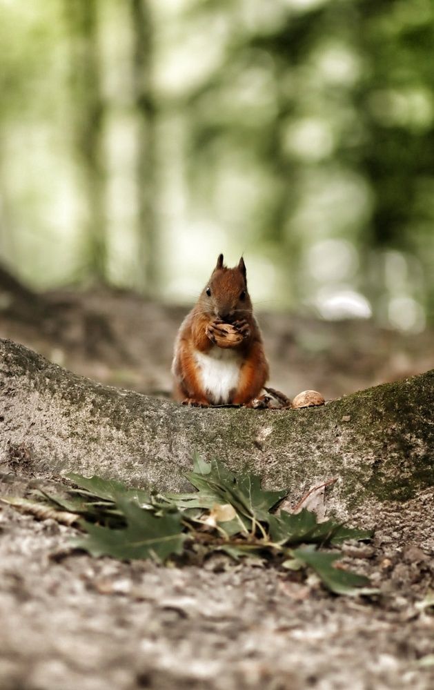 Photograph by Ольга Дегтярёва