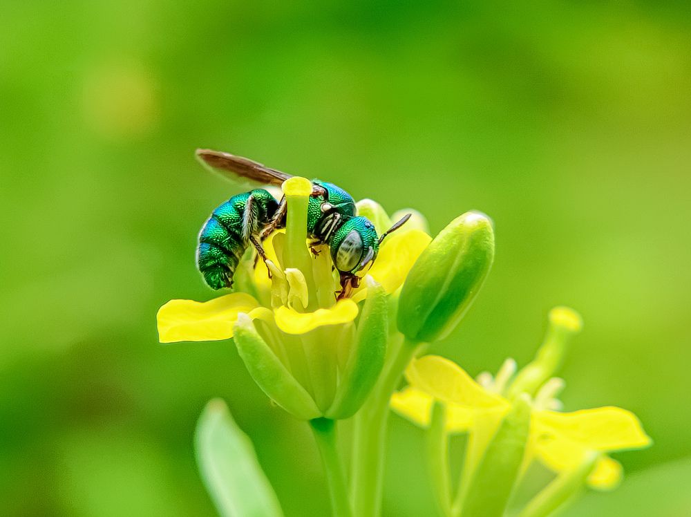 Photograph by Shubhadip Das