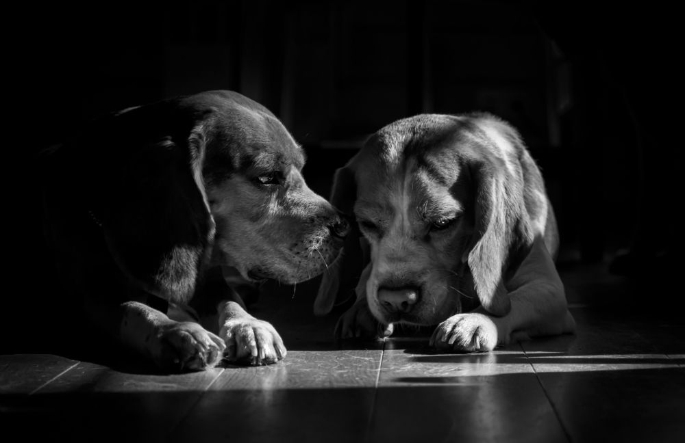 Photograph by Юлия Куликова