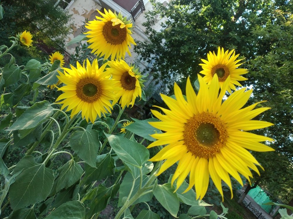 Photograph by Руслан Шиляев