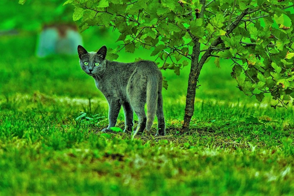 Photograph by Алексей Сиваков