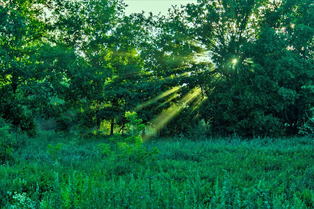 Photograph by Алексей Сиваков