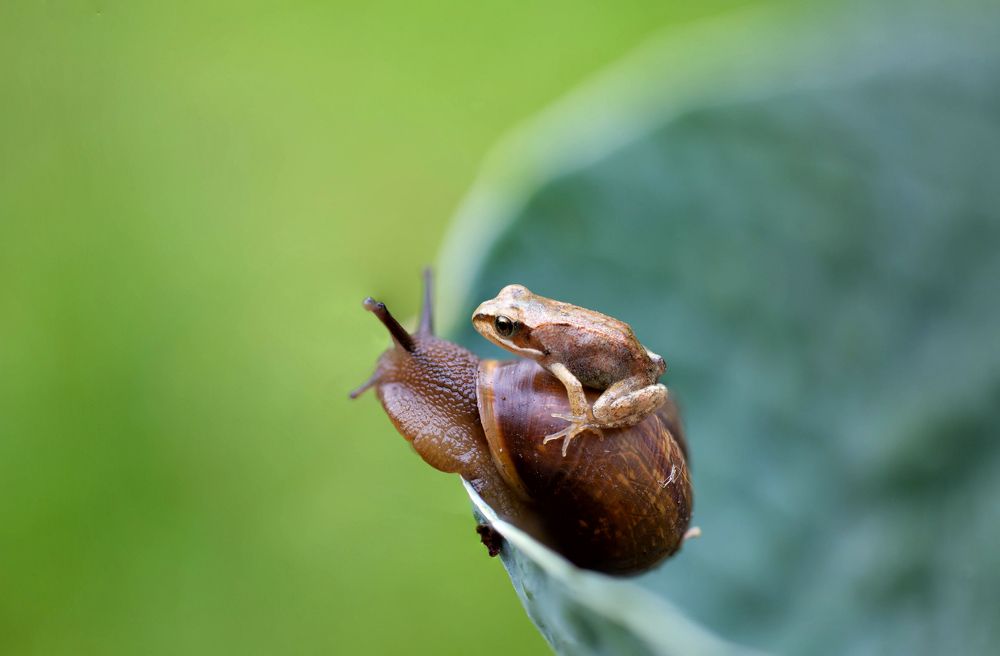 Photograph by Ирина Гентош