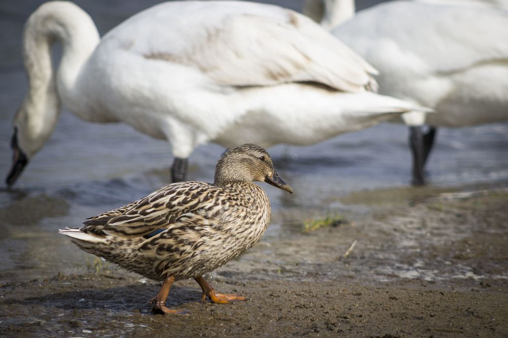 Photograph by Галина Литвинова