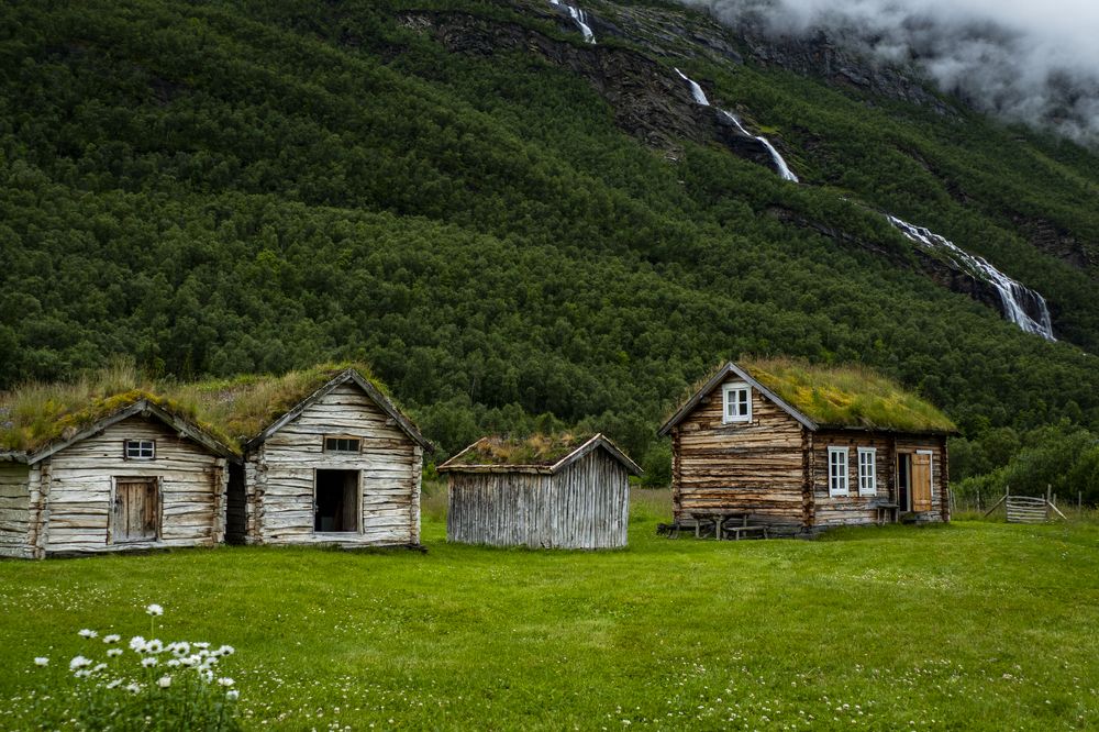 Photograph by Olga Bakke