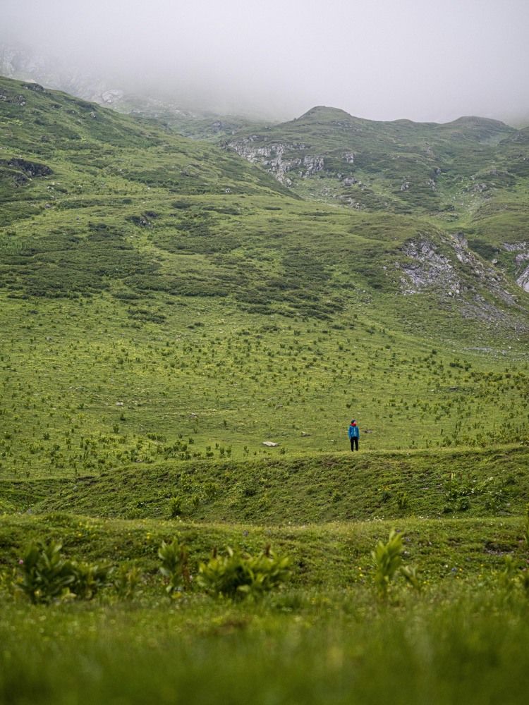 Photograph by Доляна Ашкова