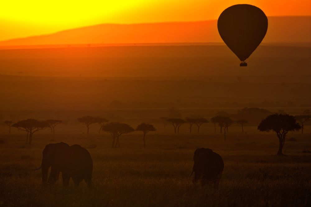 Африканская зорька