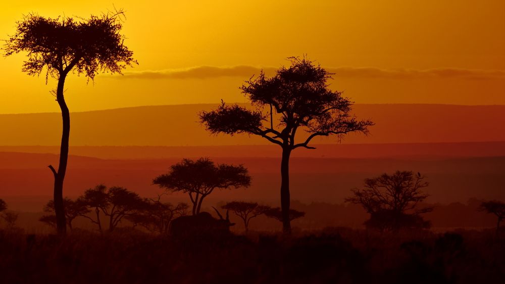 Африканское утро