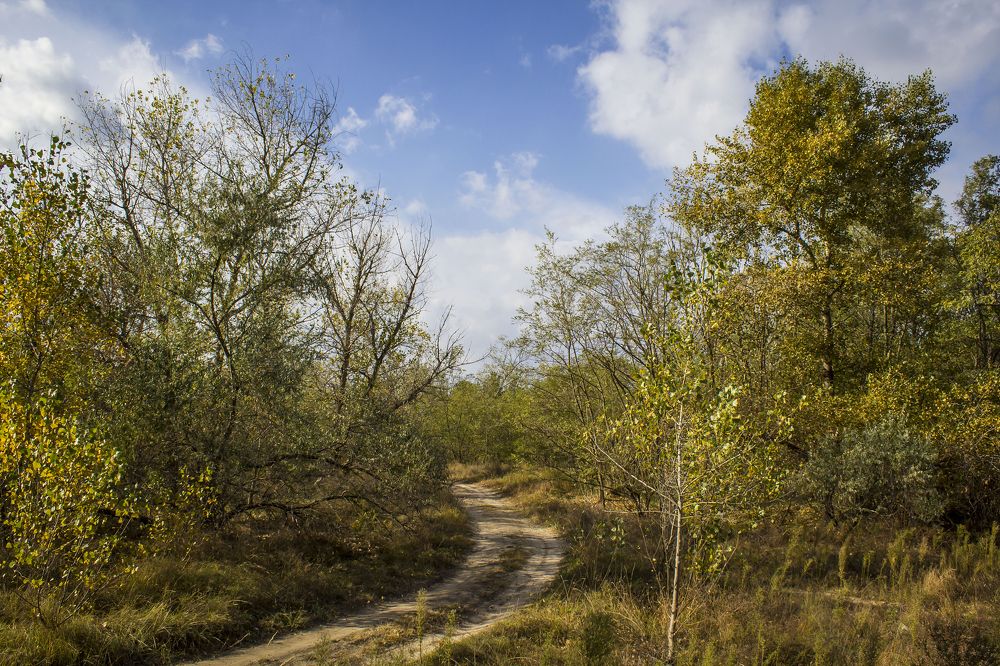 Фотография автора Сергей Денисенко