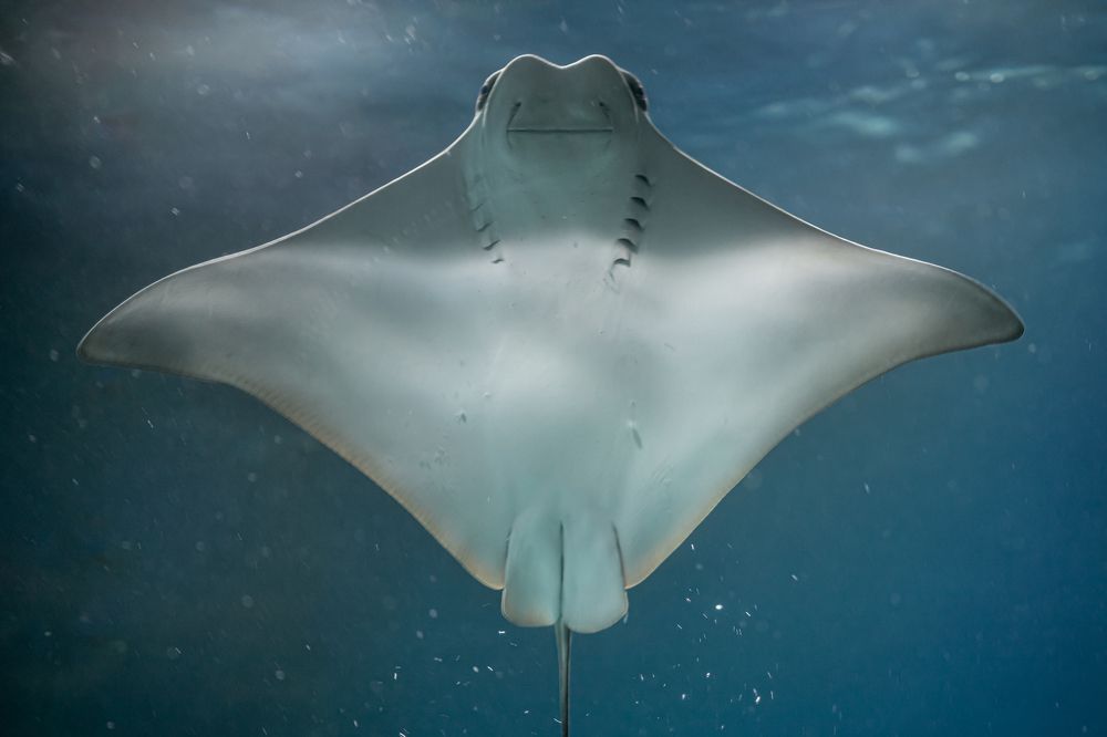 Photograph by Кирилл Черников