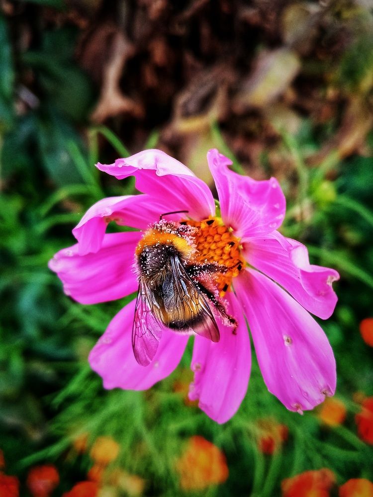 Photograph by Владимир Сушкин