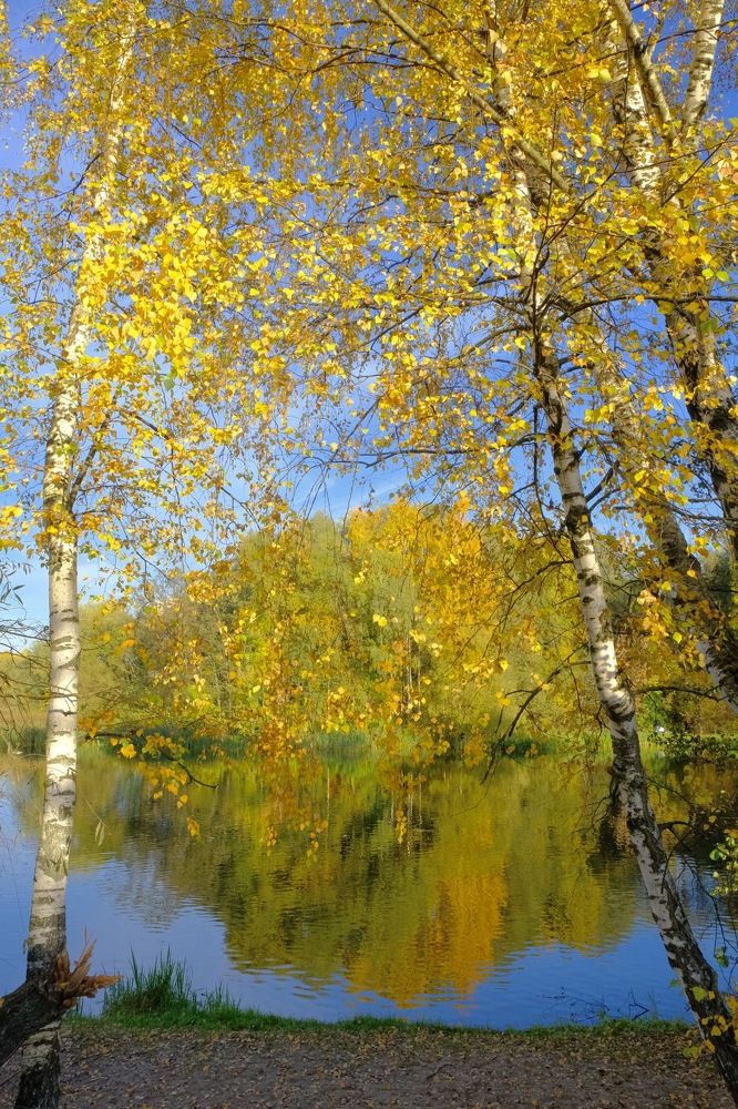 Золотая осень