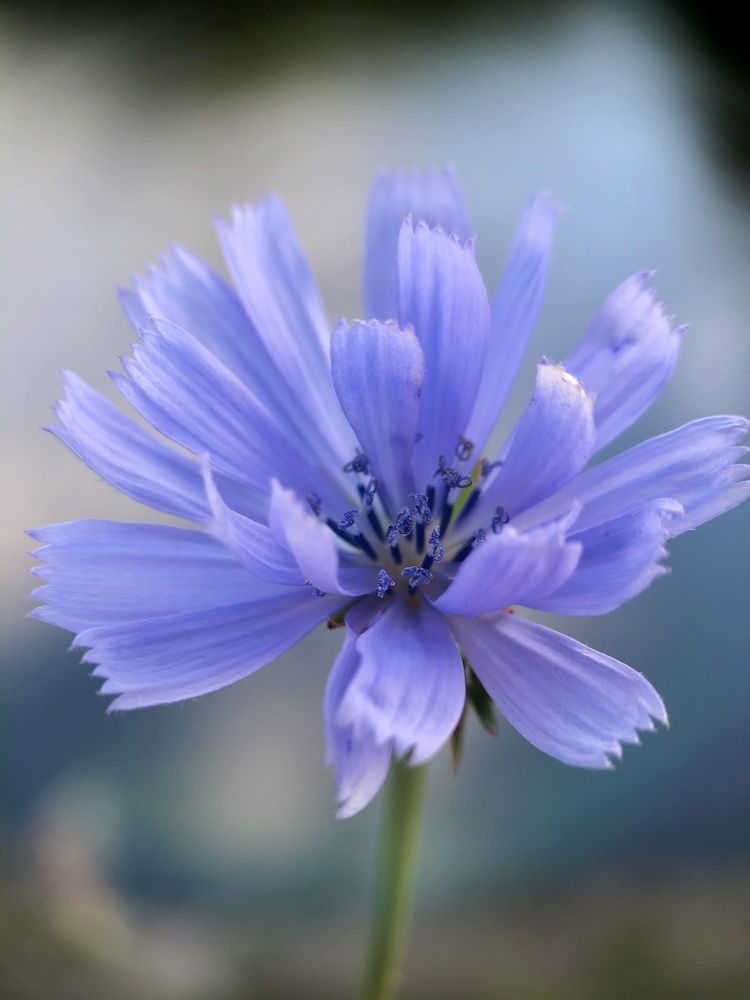 Photograph by Марина Душевина