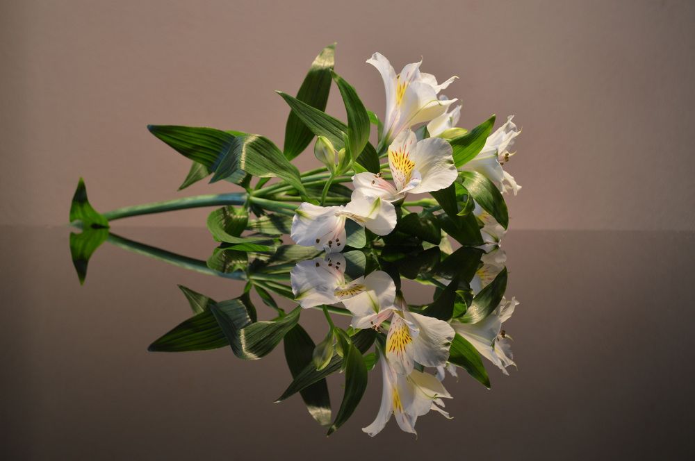 Photograph by Irina Satserdova