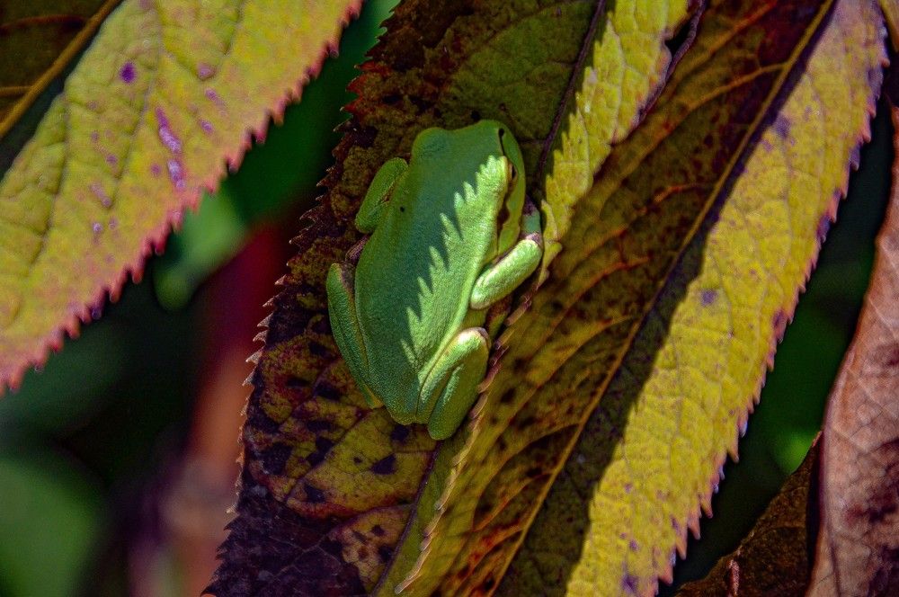 Photograph by Инна Гаджиева