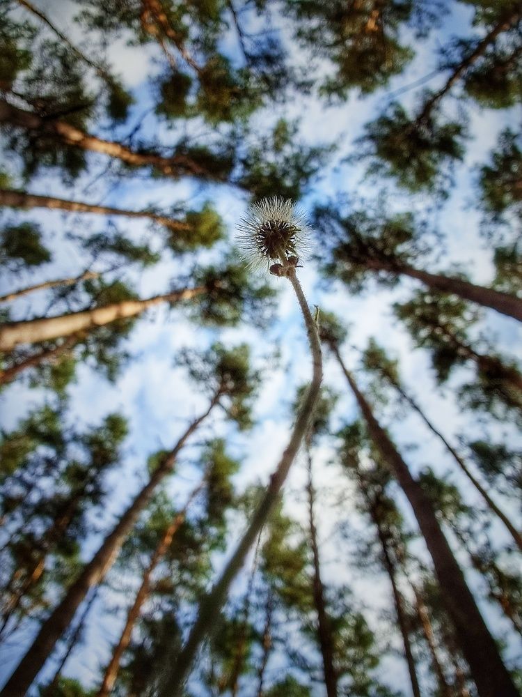 Фотография автора Дана Богинская