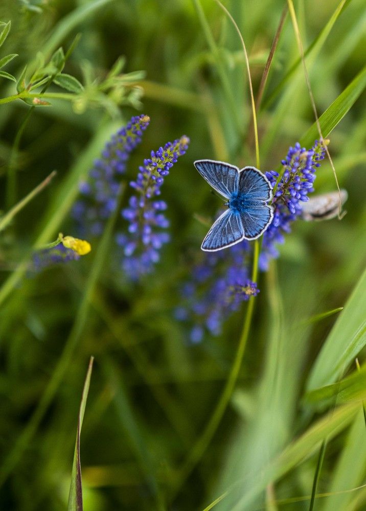 Photograph by Доляна Ашкова