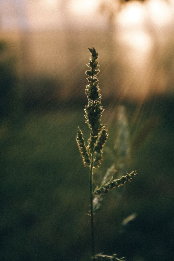 Photograph by Оксана Хабарова