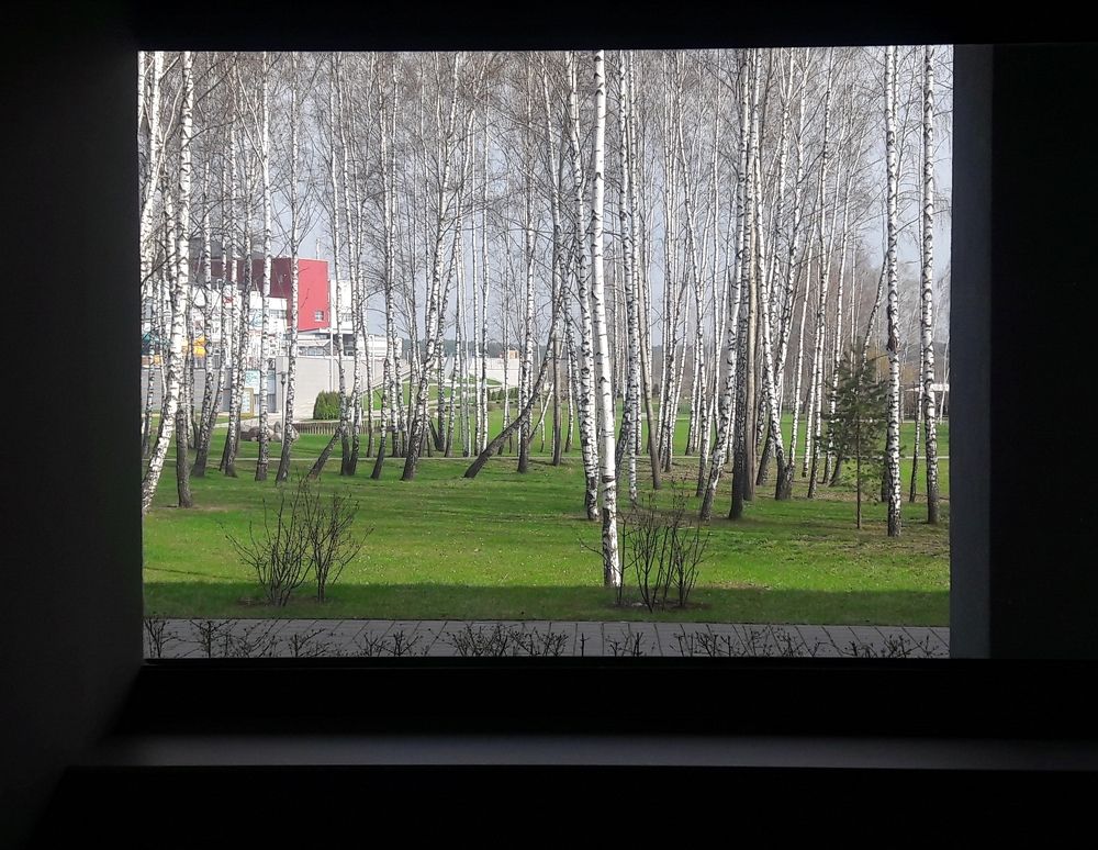 Photograph by Алексейчик Дмитрий