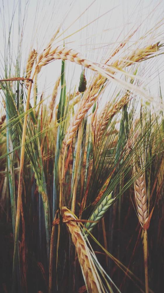 Photograph by Алина Мат