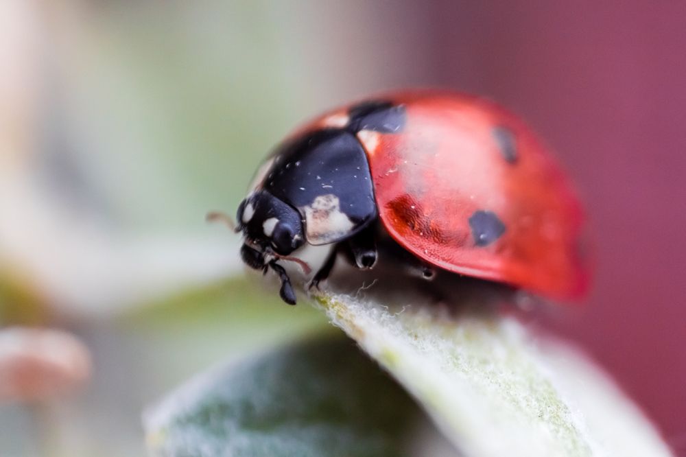 Photograph by Мария Зайцева