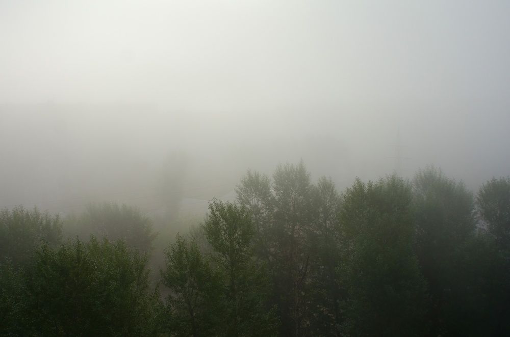 Photograph by Юрий Самойлов