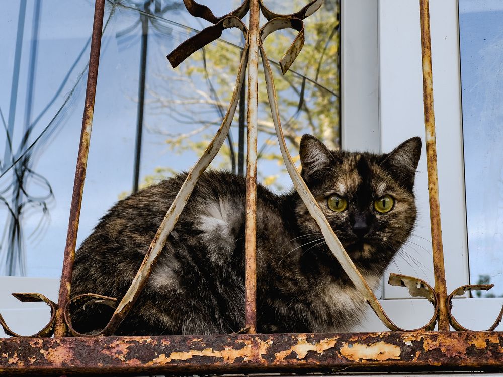 Photograph by Alice Vikernes