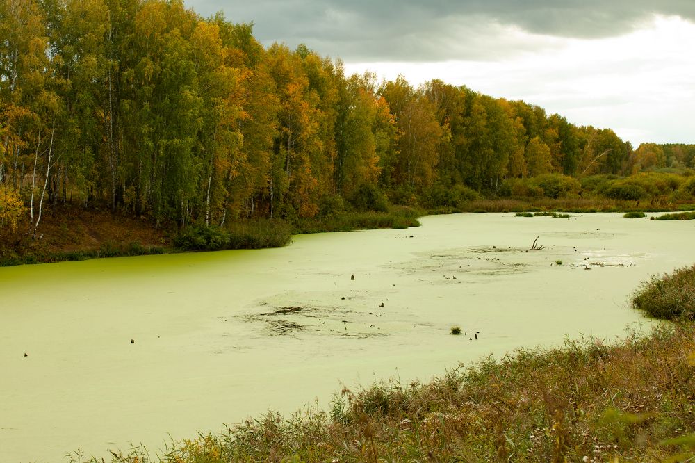 Photograph by Екатерина Воронкова