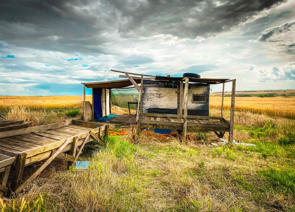 Photograph by Laleh P