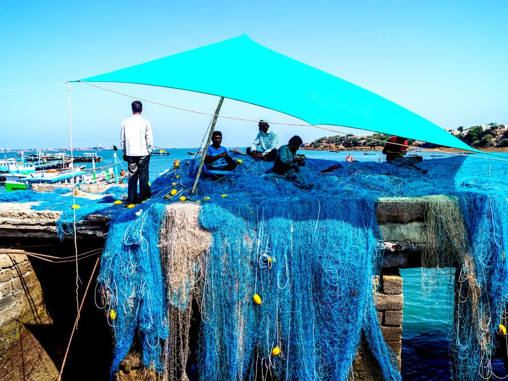 Фотография автора savitri Rawat