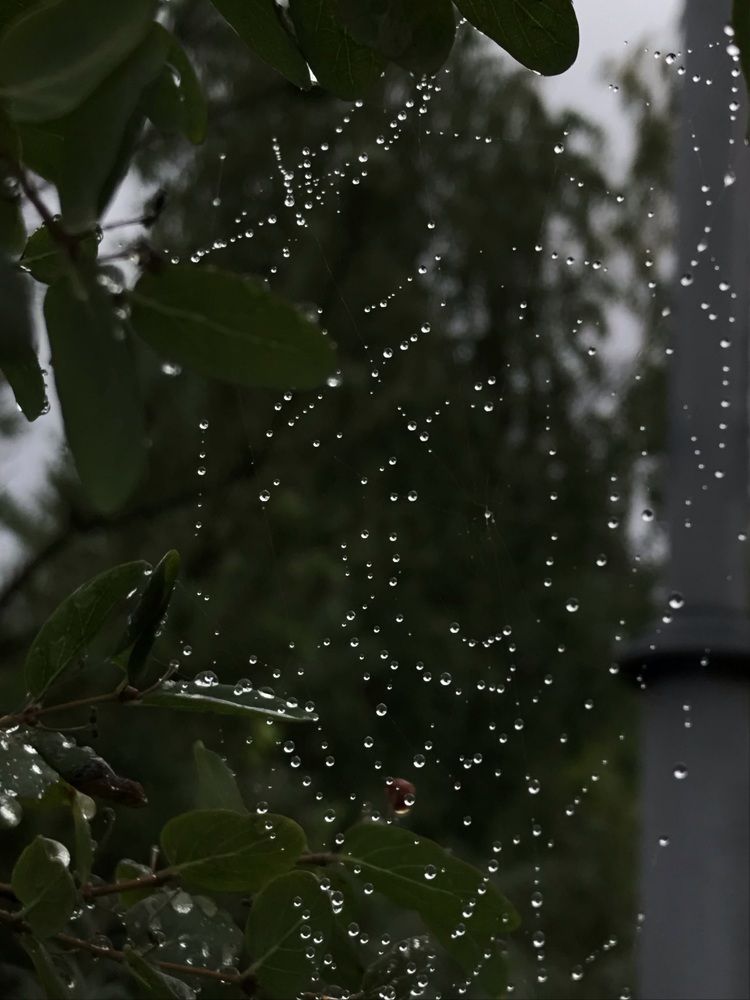 Photograph by Лидия Алесханова