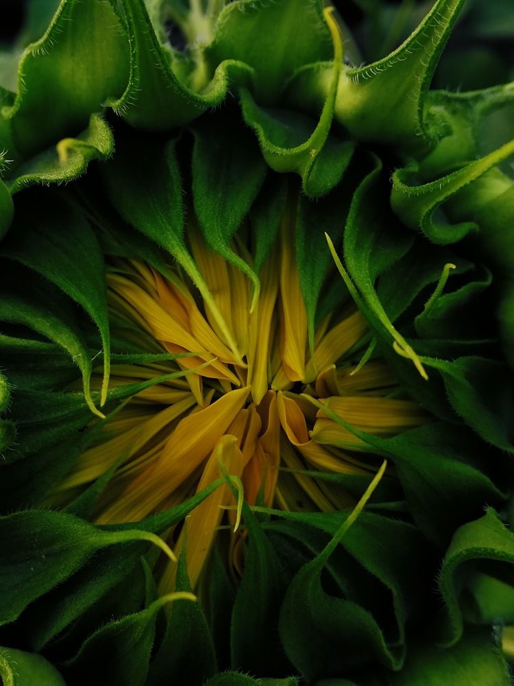 Photograph by Лидия Алесханова