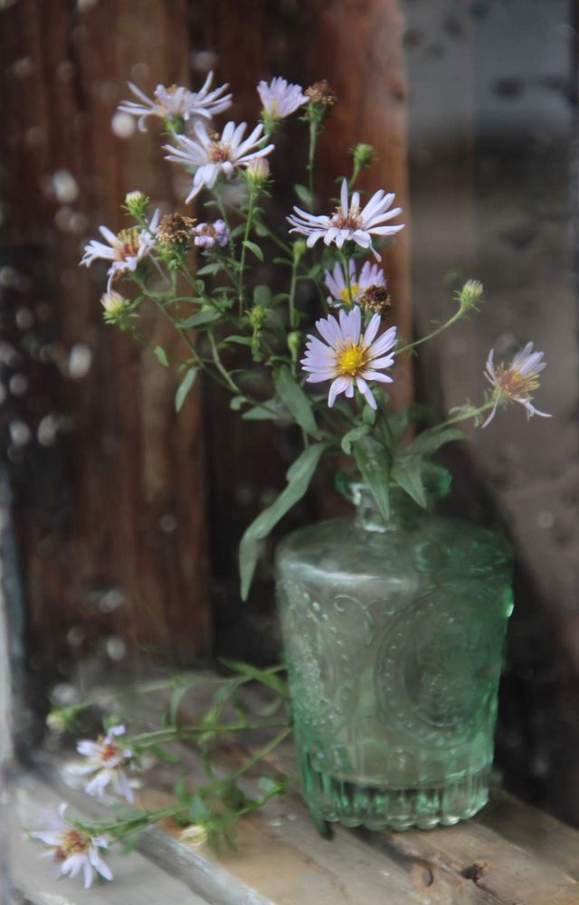 Photograph by Алина