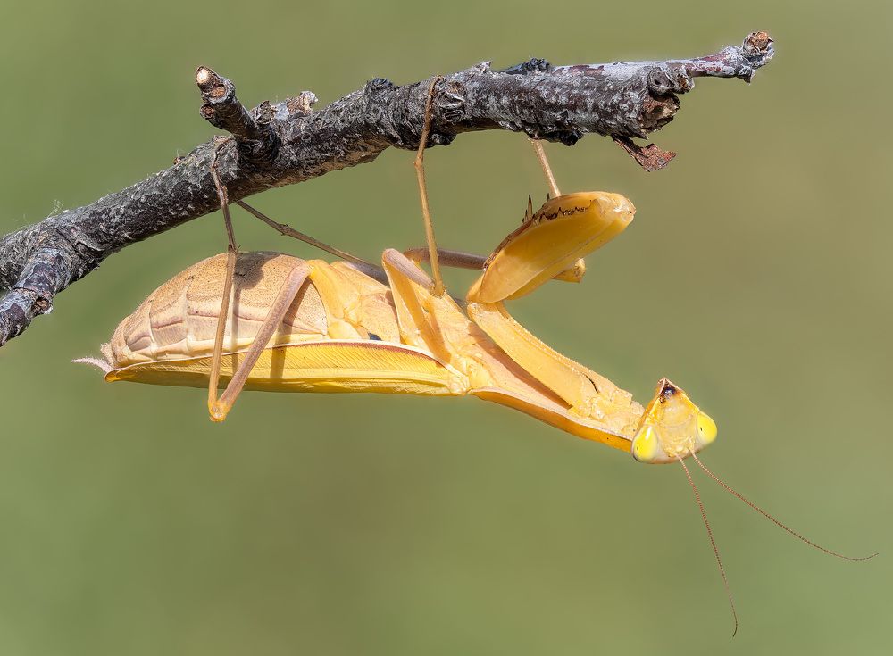 Photograph by Алексей Зайцев