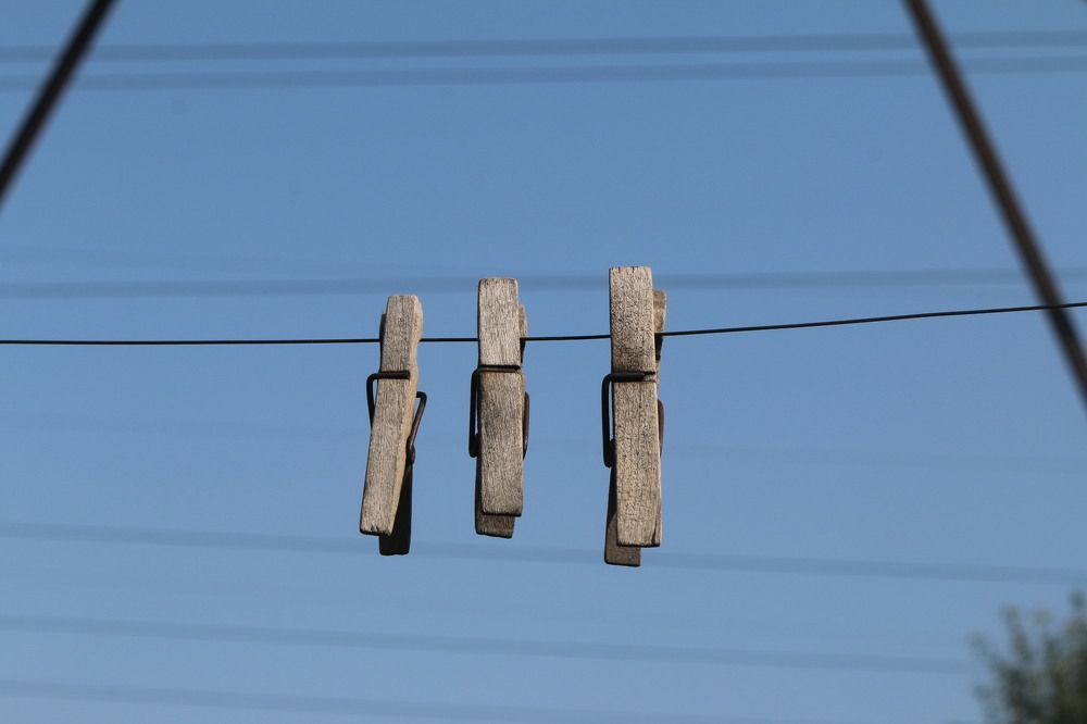 Photograph by Софья Белоногова