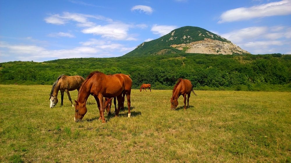 Photograph by Вадим Юрьевич