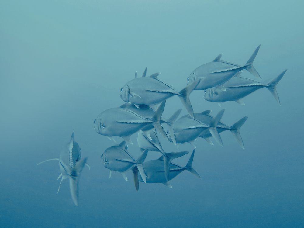 Photograph by Tatiana Serova