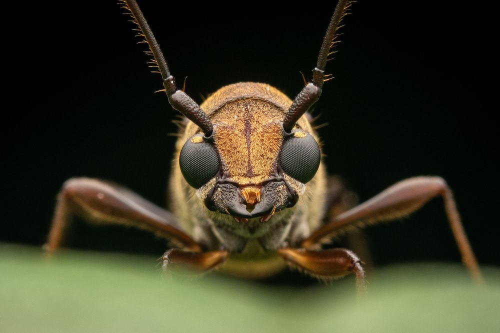 Photograph by Nicholas Ng