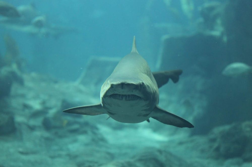 Photograph by Eylem Barış