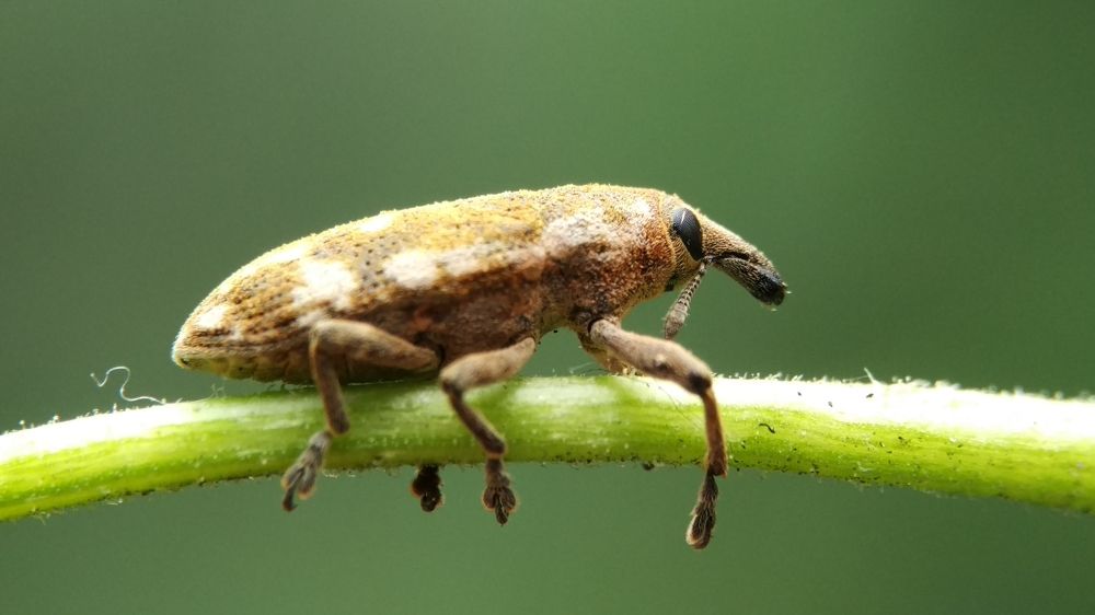 Photograph by Merta Jaya