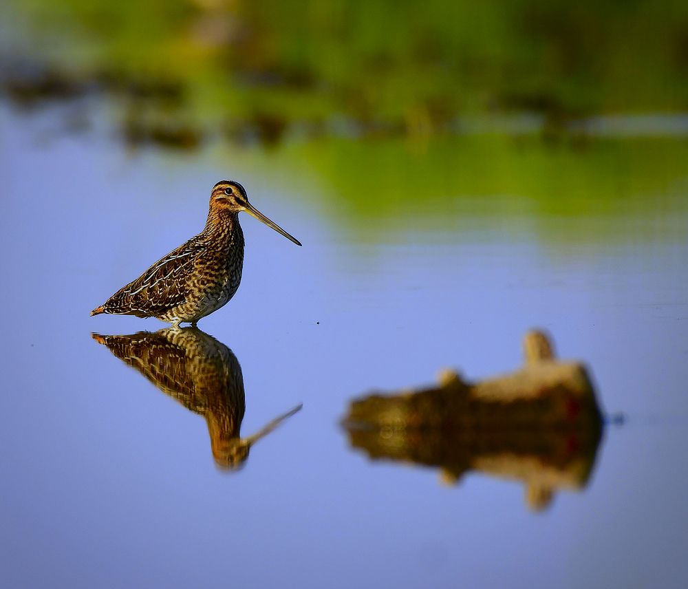 Photograph by Елена